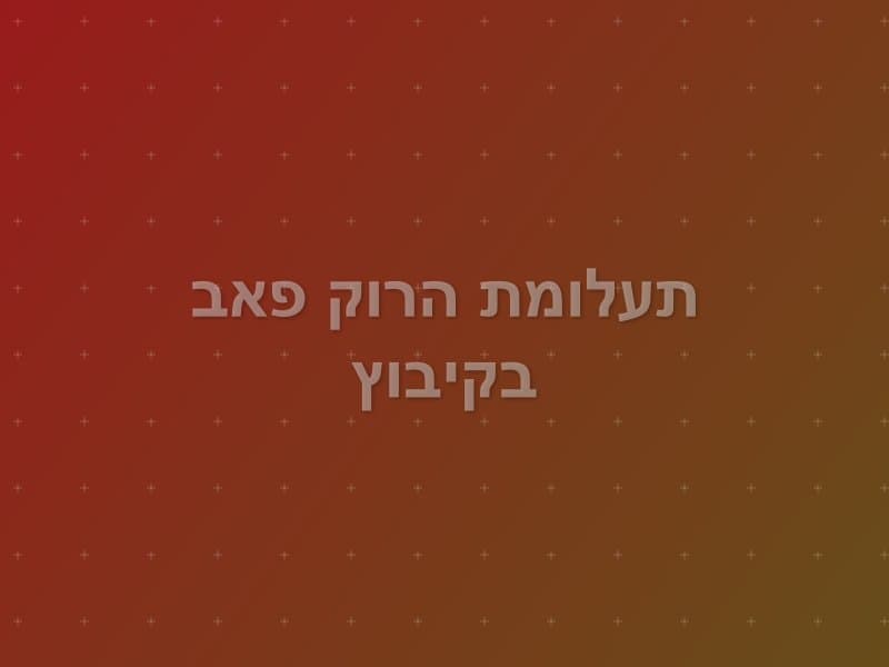 תעלומת הרוק פאב בקיבוץ — חדר בריחה בבית זרע