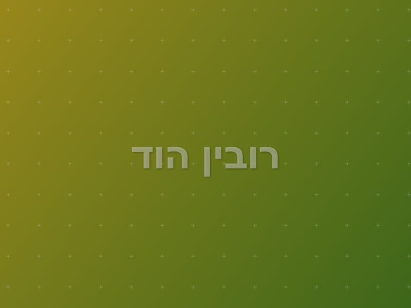 רובין הוד — חדר בריחה בכפר סבא