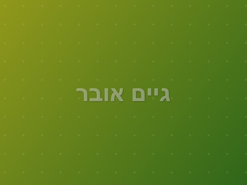 גיים אובר — חדר בריחה בנס ציונה