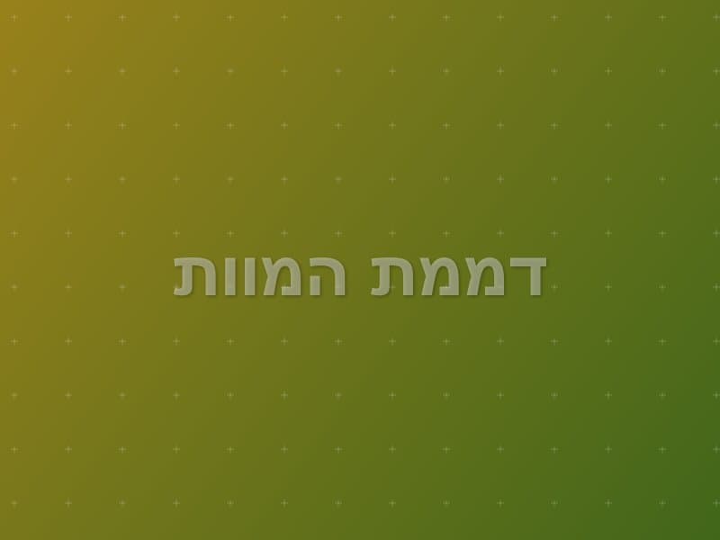 דממת המוות — חדר בריחה בראשון לציון