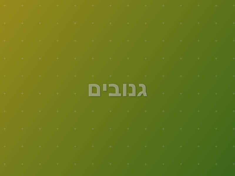 גנובים — חדר בריחה ברחובות